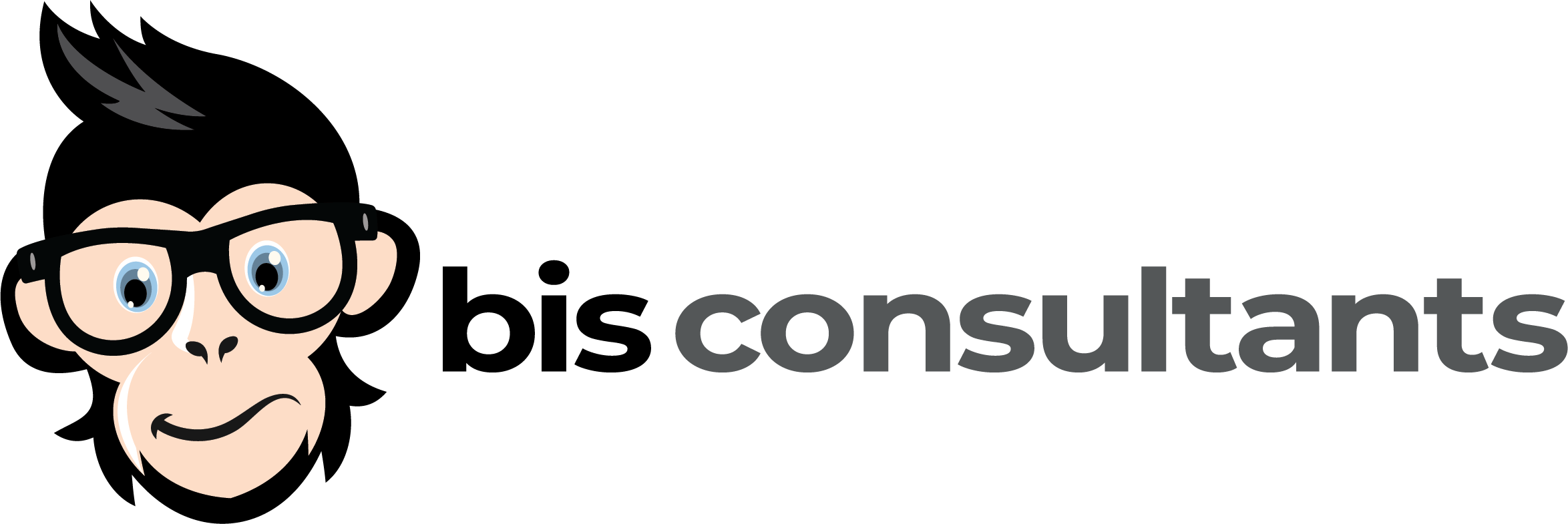 bis consultants for government